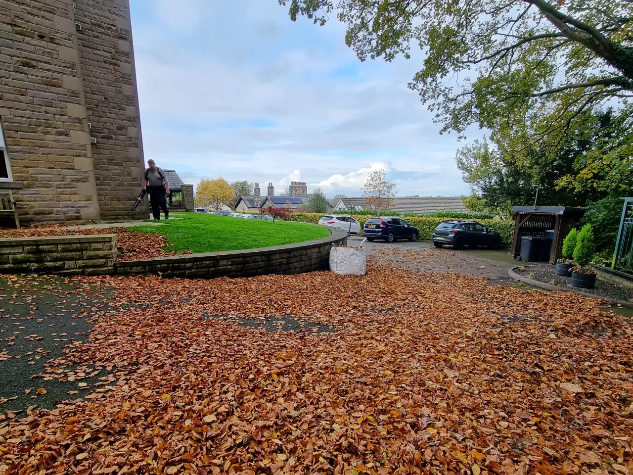 commercial leaf clearance