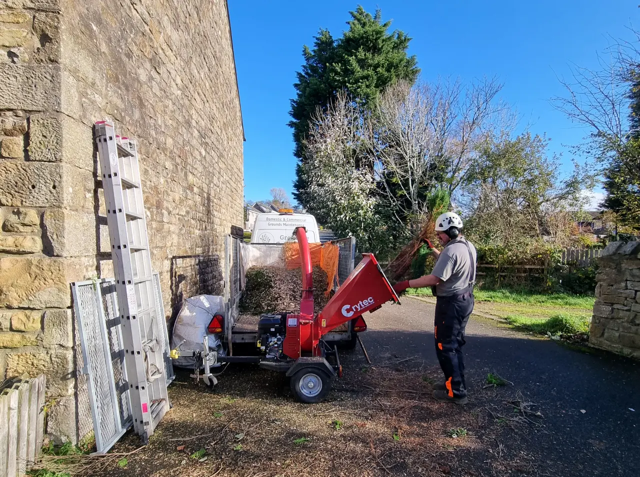 tree work in Morecambe