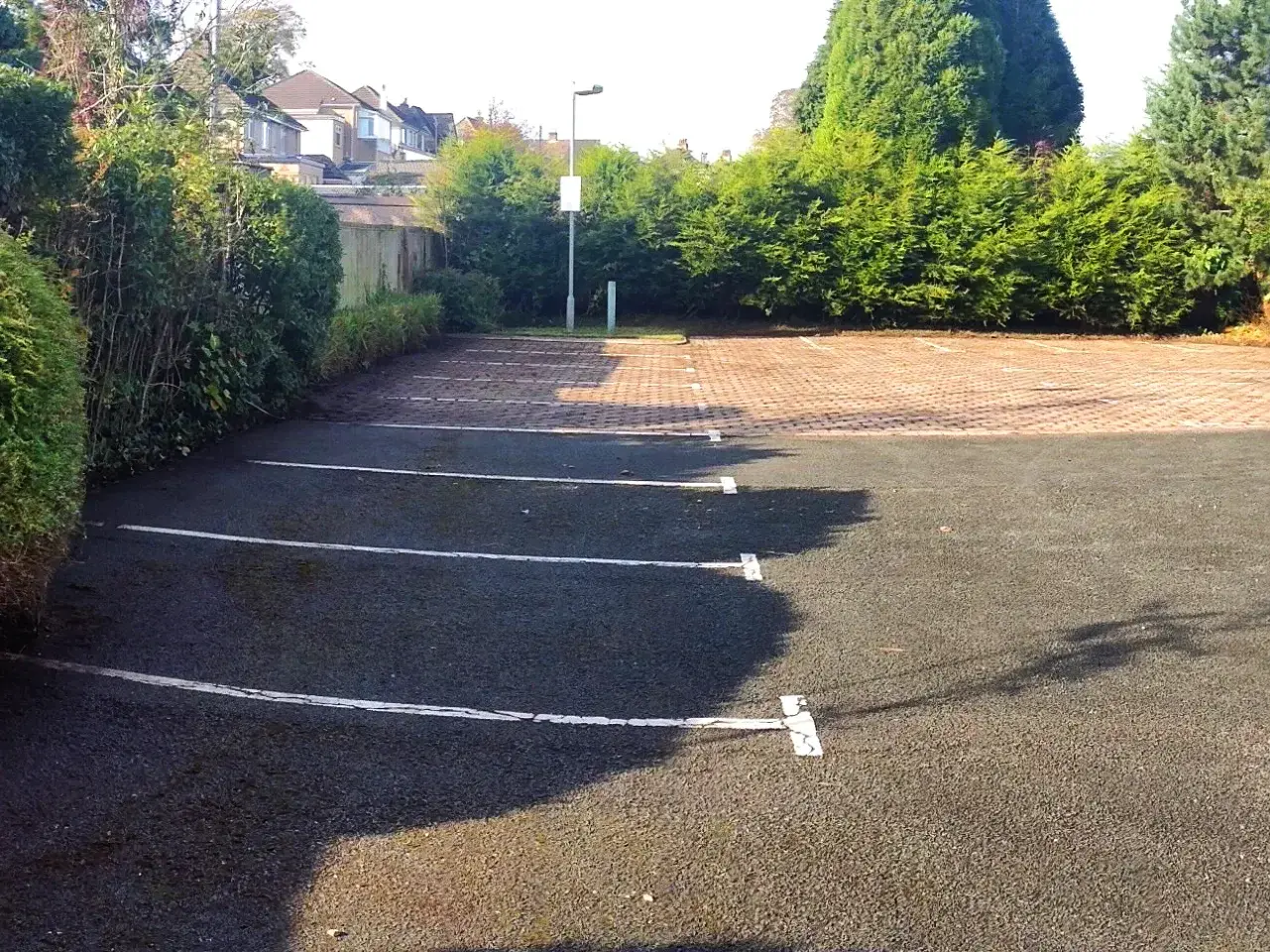 Commercial moss/ algae control