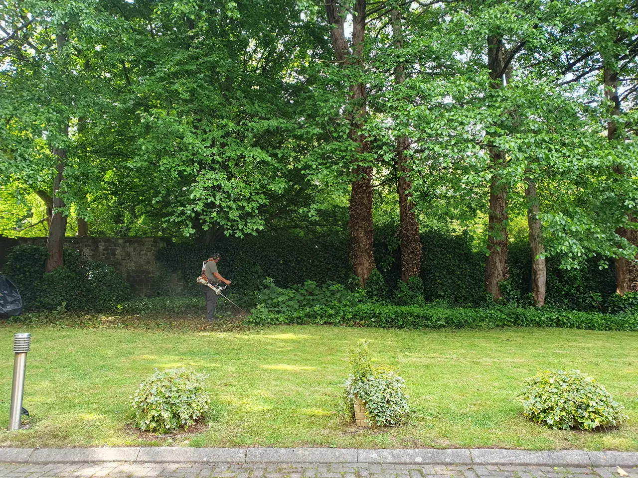 commercial grounds maintenance