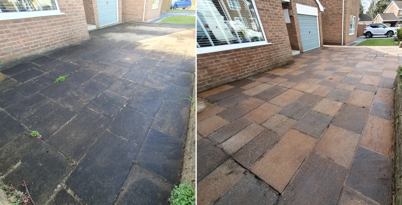 wildflower installation