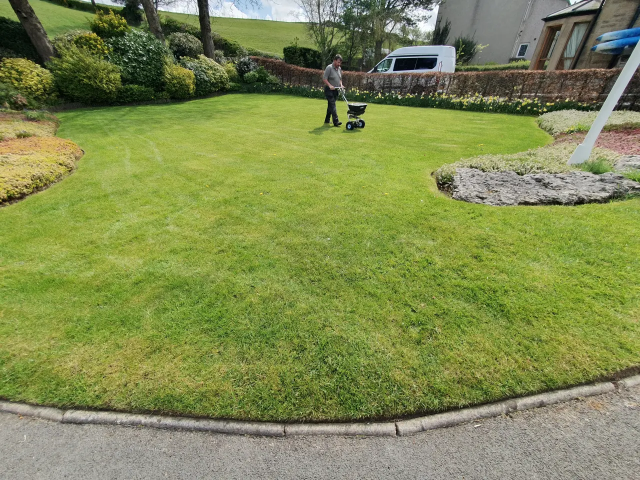 Lawn scarifying