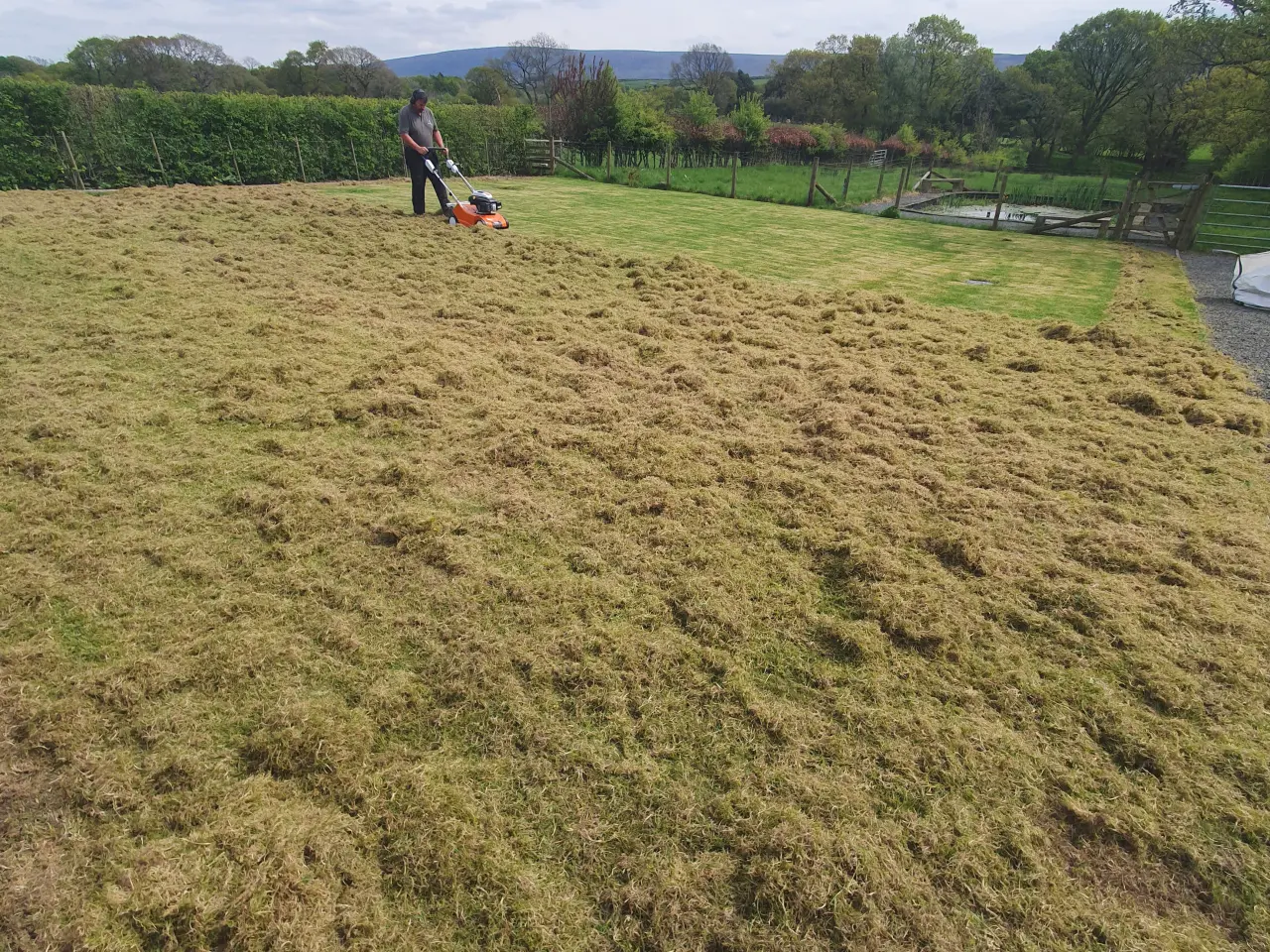 Lawn scarifying
