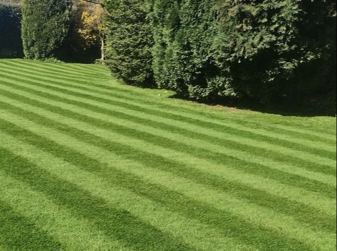 grass cutting Lancaster