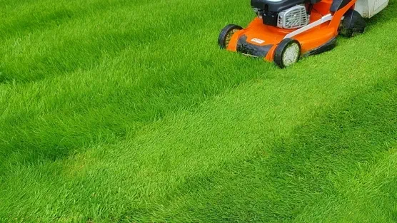 Lawn care and maintenance